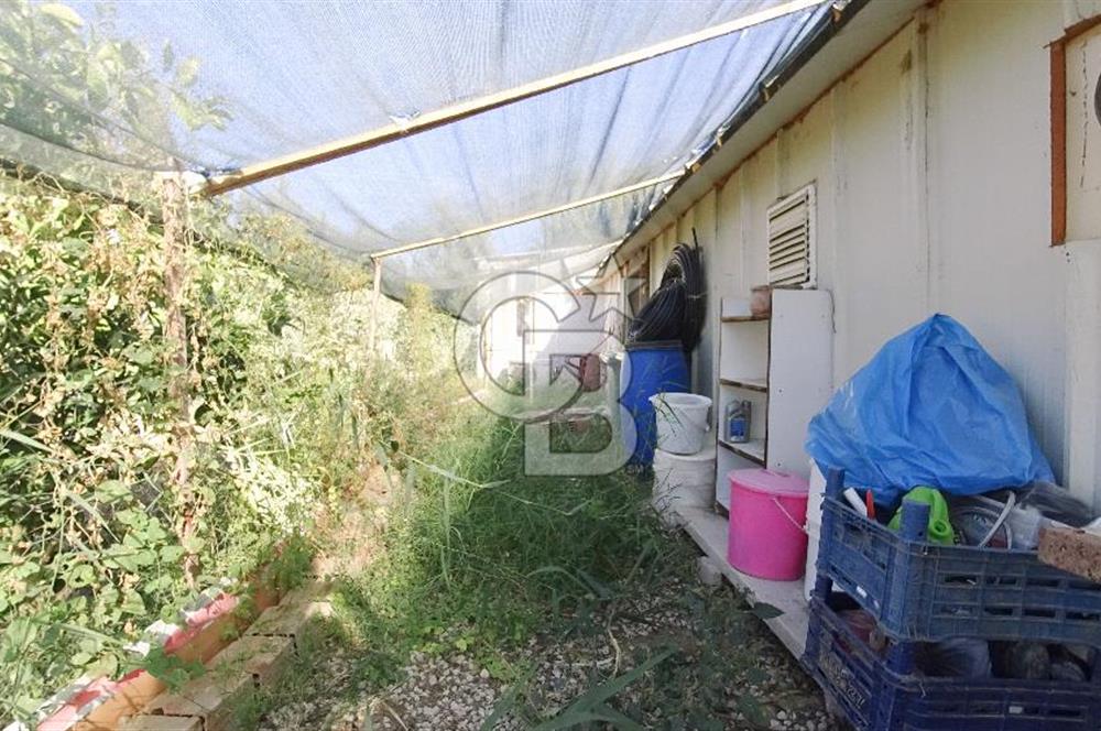 İzmir Menemen Süleymanlı Eşyalı & Donanımlı Kiralık Müstakil Ev