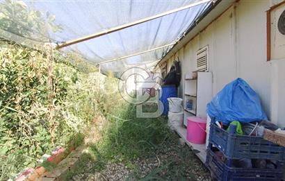 İzmir Menemen Süleymanlı Eşyalı & Donanımlı Kiralık Müstakil Ev