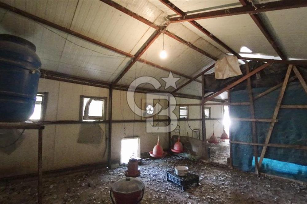 İzmir Menemen Süleymanlı Eşyalı & Donanımlı Kiralık Müstakil Ev
