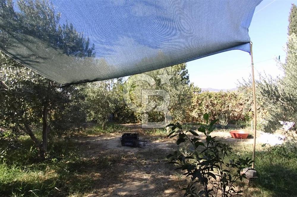 İzmir Menemen Süleymanlı Eşyalı & Donanımlı Kiralık Müstakil Ev