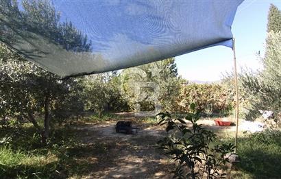 İzmir Menemen Süleymanlı Eşyalı & Donanımlı Kiralık Müstakil Ev