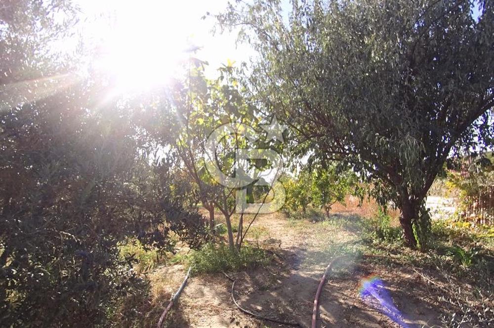 İzmir Menemen Süleymanlı Eşyalı & Donanımlı Kiralık Müstakil Ev