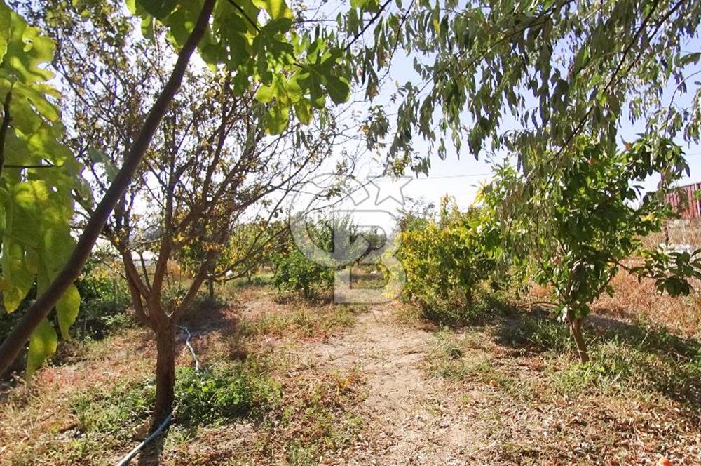 İzmir Menemen Süleymanlı Eşyalı & Donanımlı Kiralık Müstakil Ev