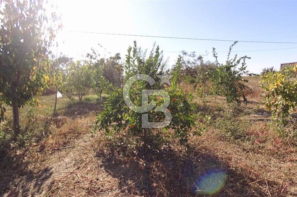 İzmir Menemen Süleymanlı Eşyalı & Donanımlı Kiralık Müstakil Ev