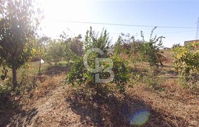 İzmir Menemen Süleymanlı Eşyalı & Donanımlı Kiralık Müstakil Ev