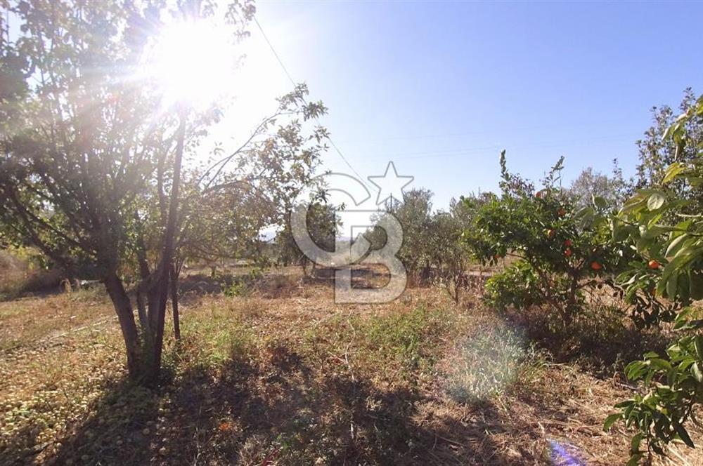 İzmir Menemen Süleymanlı Eşyalı & Donanımlı Kiralık Müstakil Ev