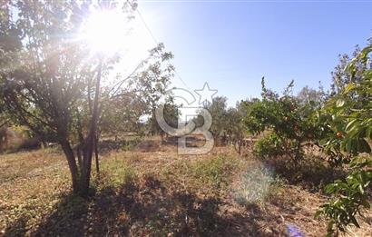İzmir Menemen Süleymanlı Eşyalı & Donanımlı Kiralık Müstakil Ev