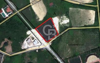 ARNAVUTKÖY DURUSU DA SATILIK 116 m2 ARSA