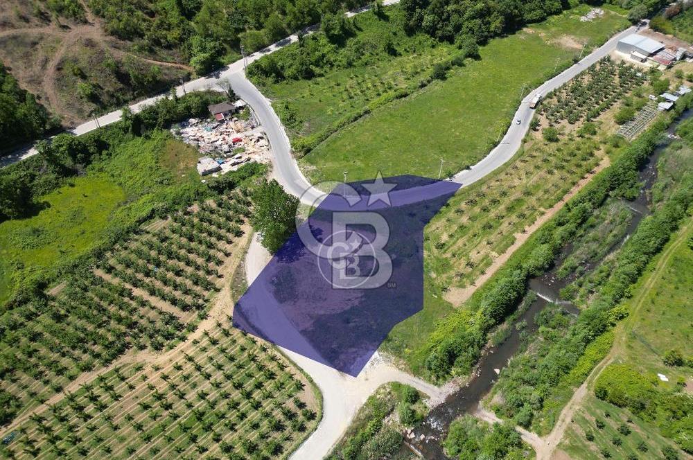 CB Envoy'dan İhsaniyede 4.230 m2 Kiralık Tarla