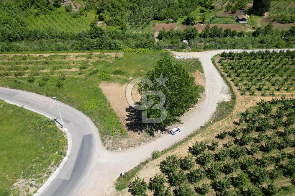 CB Envoy'dan İhsaniyede 4.230 m2 Kiralık Tarla