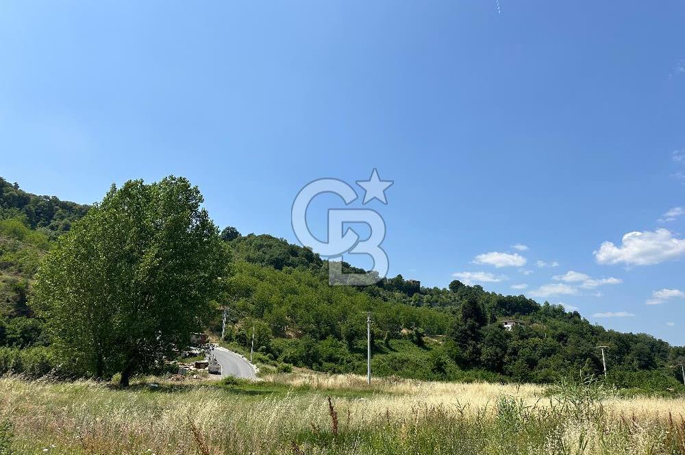 CB Envoy'dan İhsaniyede 4.230 m2 Kiralık Tarla