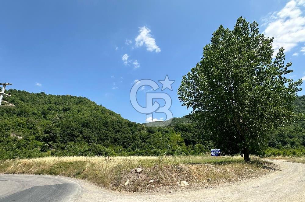 CB Envoy'dan İhsaniyede 4.230 m2 Kiralık Tarla