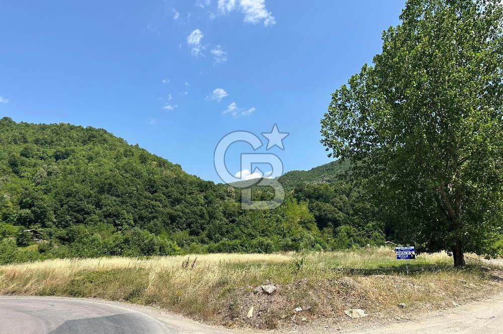 CB Envoy'dan İhsaniyede 4.230 m2 Kiralık Tarla