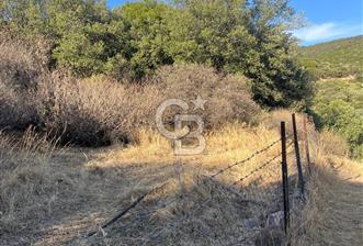 MENDERES GÜMÜLDÜR DE HİSSELİ 2.449 m2 DENİZ MANZARALI TARLA