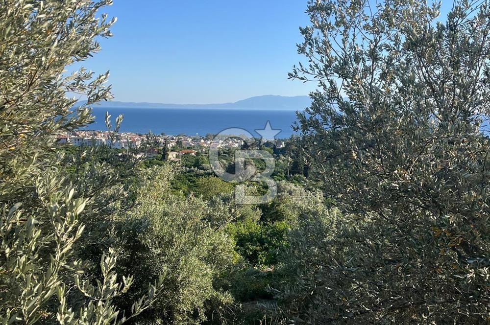 MENDERES GÜMÜLDÜR DE HİSSELİ 2.449 m2 DENİZ MANZARALI TARLA