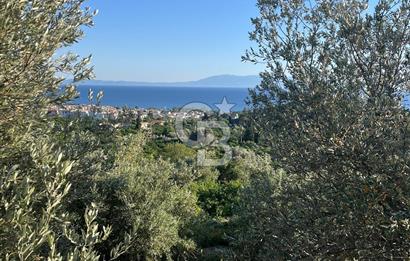 MENDERES GÜMÜLDÜR DE HİSSELİ 2.449 m2 DENİZ MANZARALI TARLA