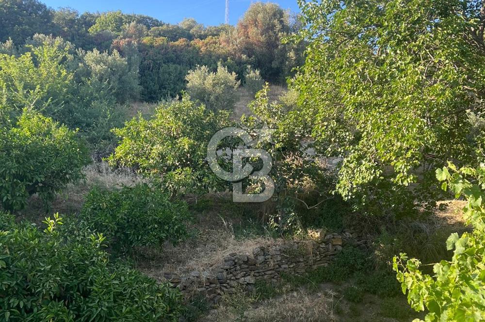 MENDERES GÜMÜLDÜR DE HİSSELİ 2.449 m2 DENİZ MANZARALI TARLA