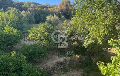 MENDERES GÜMÜLDÜR DE HİSSELİ 2.449 m2 DENİZ MANZARALI TARLA