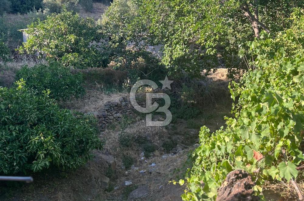 MENDERES GÜMÜLDÜR DE HİSSELİ 2.449 m2 DENİZ MANZARALI TARLA