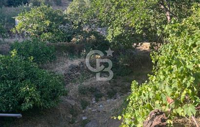 MENDERES GÜMÜLDÜR DE HİSSELİ 2.449 m2 DENİZ MANZARALI TARLA