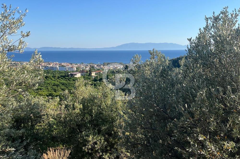 MENDERES GÜMÜLDÜR DE HİSSELİ 2.449 m2 DENİZ MANZARALI TARLA