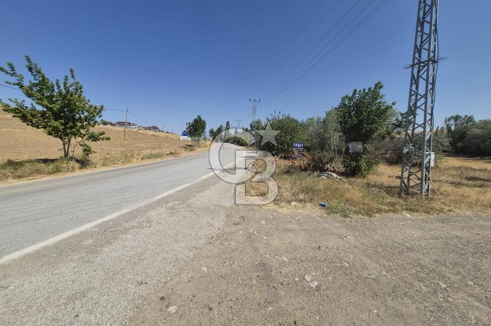 Cb Vizyon Tuğba ERKAL'dan Yatırıma Uygun Yola Cephe Tarla