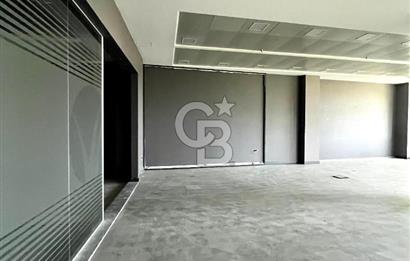 Bahçeşehir Loca'da Caddeüstü 150 m² 2 Adet Boş İş Yeri