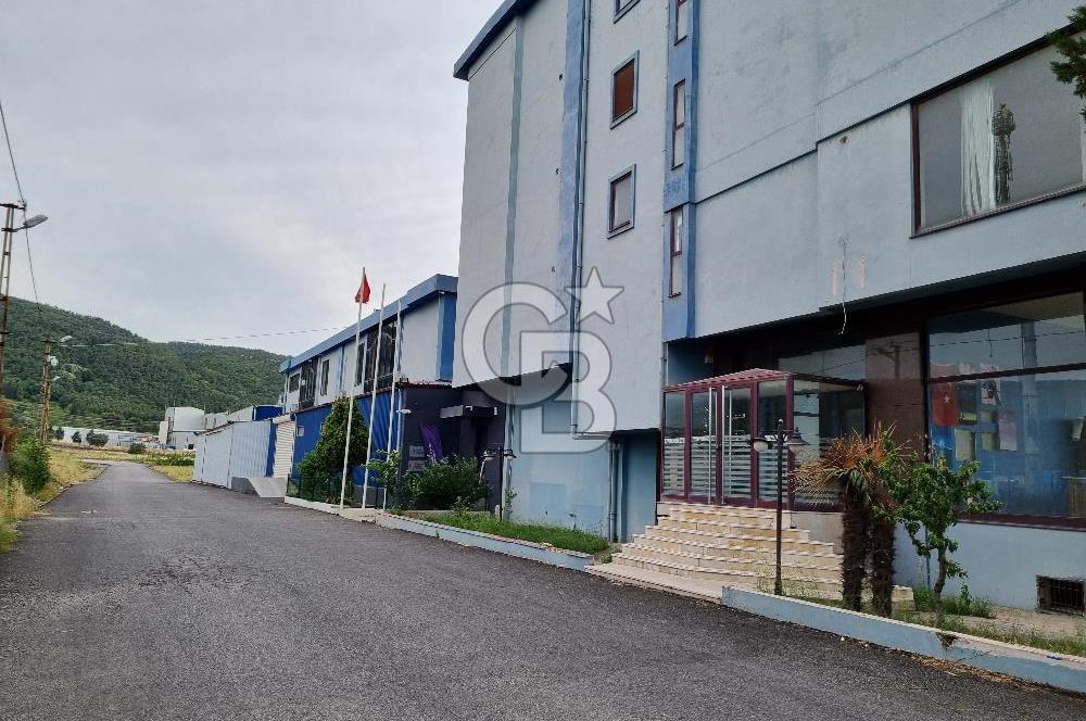 YALOVA ÇİFTLİKKÖY TAŞKÖPRÜ KİRALIK KOMPLE BİNA! 1550M2