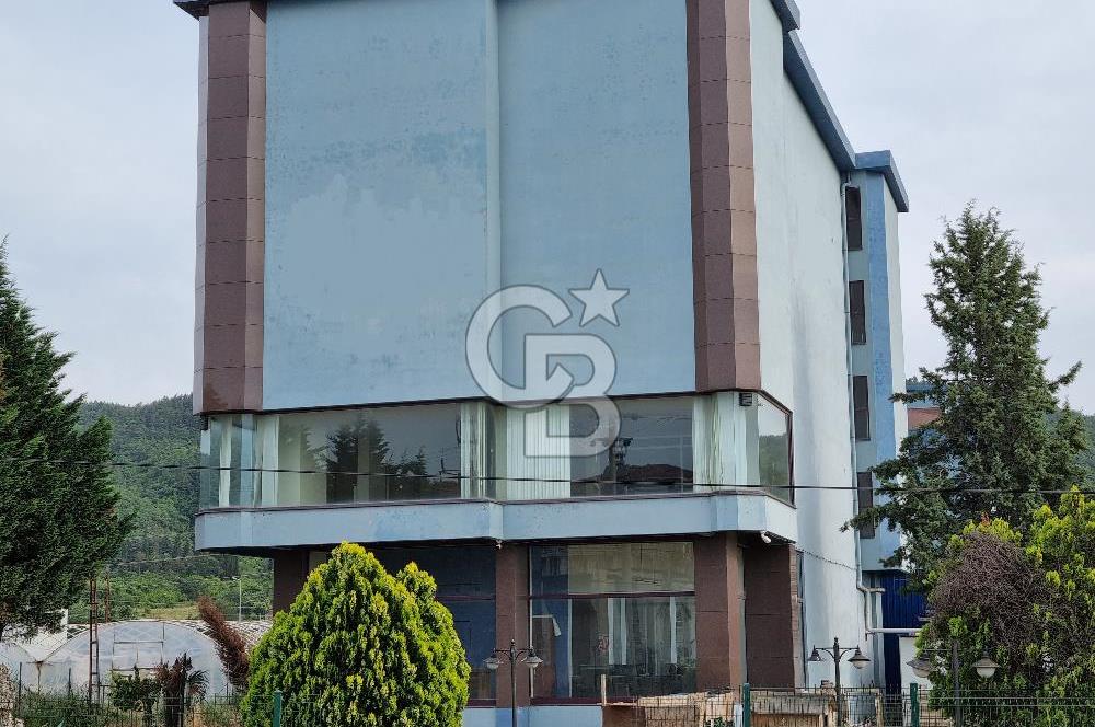 YALOVA ÇİFTLİKKÖY TAŞKÖPRÜ KİRALIK KOMPLE BİNA! 1550M2