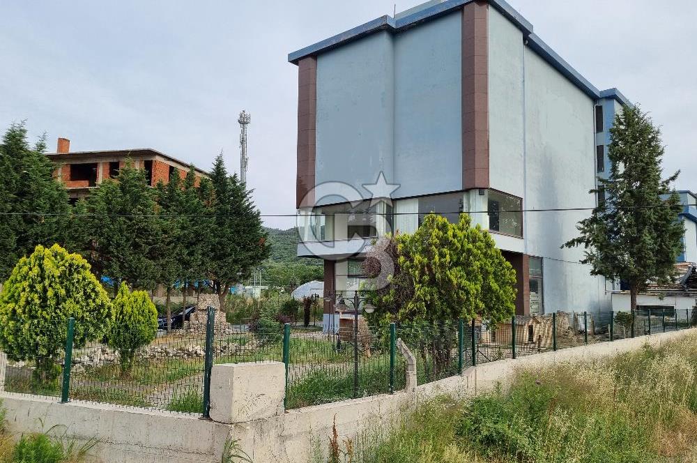 YALOVA ÇİFTLİKKÖY TAŞKÖPRÜ KİRALIK KOMPLE BİNA! 1550M2