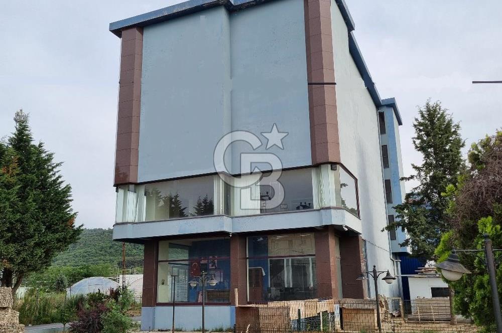 YALOVA ÇİFTLİKKÖY TAŞKÖPRÜ KİRALIK KOMPLE BİNA! 1550M2