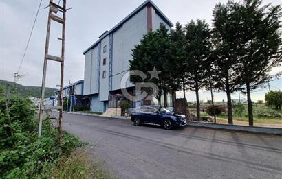YALOVA ÇİFTLİKKÖY TAŞKÖPRÜ KİRALIK KOMPLE BİNA! 1550M2