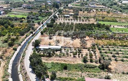 İzmir Menemen Süleymanlı Eşyalı & Donanımlı Kiralık Müstakil Ev
