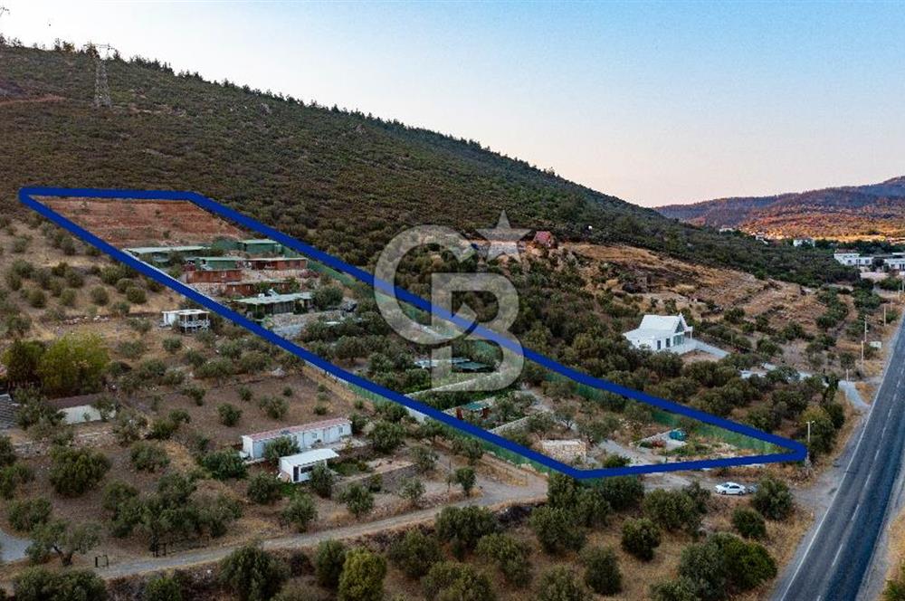 Foça Ilıpınar'da 5 Dönüm İçerisinde Satılık Müstakil Ev