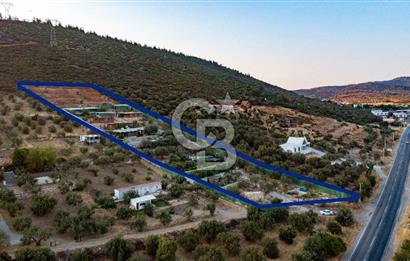 Foça Ilıpınar'da 5 Dönüm İçerisinde Satılık Müstakil Ev