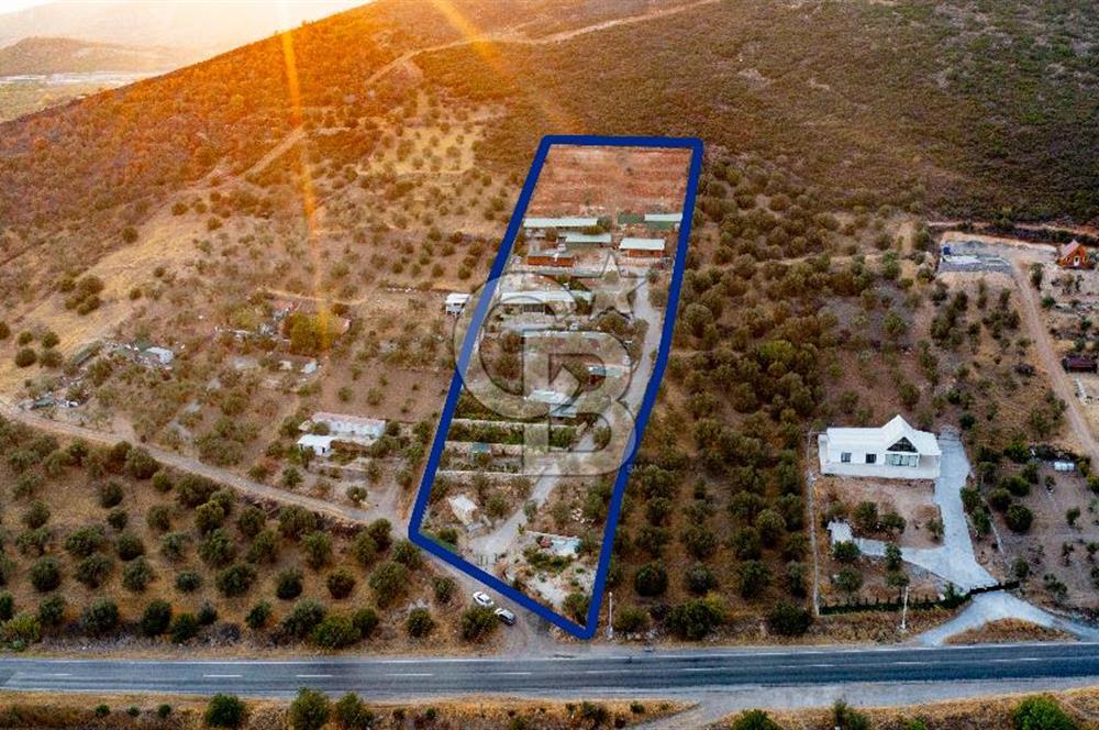 Foça Ilıpınar'da 5 Dönüm İçerisinde Satılık Müstakil Ev