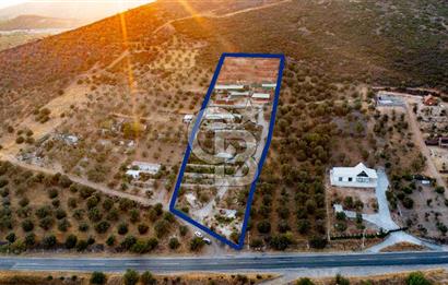 Foça Ilıpınar'da 5 Dönüm İçerisinde Satılık Müstakil Ev