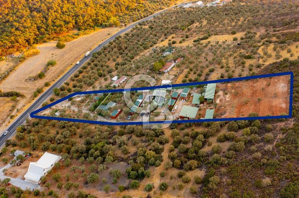 Foça Ilıpınar'da 5 Dönüm İçerisinde Satılık Müstakil Ev