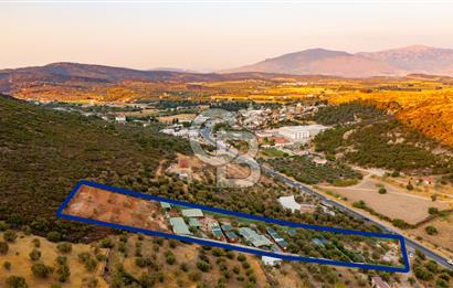 Foça Ilıpınar'da 5 Dönüm İçerisinde Satılık Müstakil Ev
