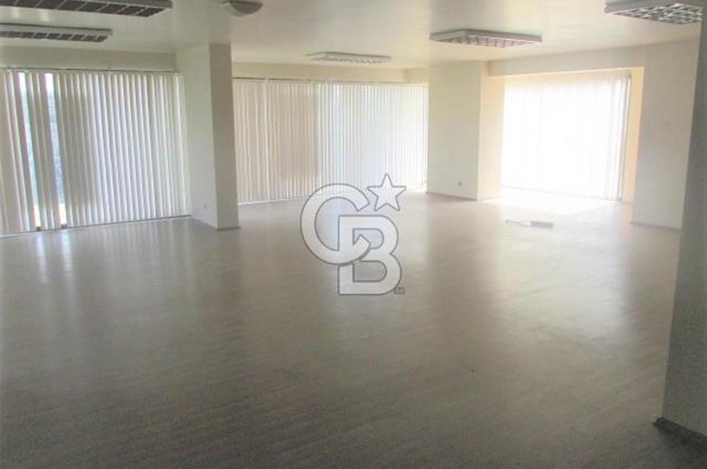 YALOVA ÇİFTLİKKÖY TAŞKÖPRÜ KİRALIK KOMPLE BİNA! 1550M2