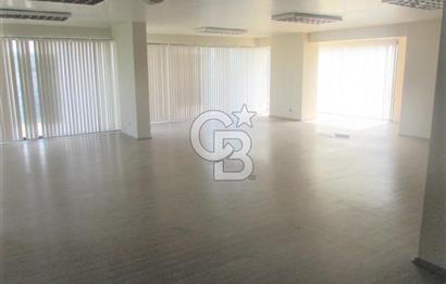YALOVA ÇİFTLİKKÖY TAŞKÖPRÜ KİRALIK KOMPLE BİNA! 1550M2
