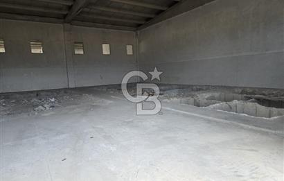 BURSA ORHANGAZİ MURADİYE KİRALIK DEPO 250M2