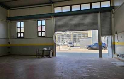 BURSA ORHANGAZİ K. SANAYİ KİRALIK ATÖLYE DÜKKAN!. 250M2