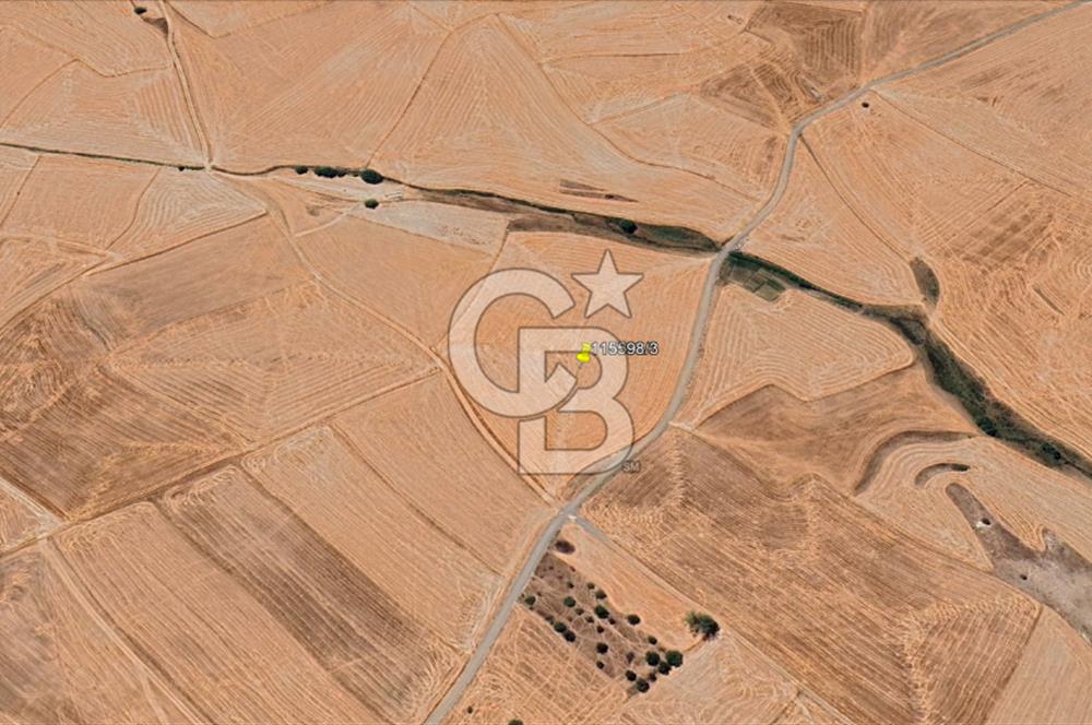 GÖLBAŞI SUBAŞI KÖYÜNDE SATILIK 31 DÖNÜM TEK TAPU TARLA