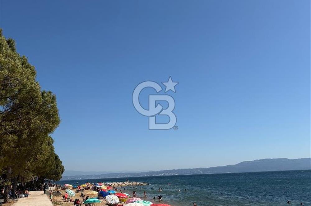 Yalova Armutlu Satılık Da