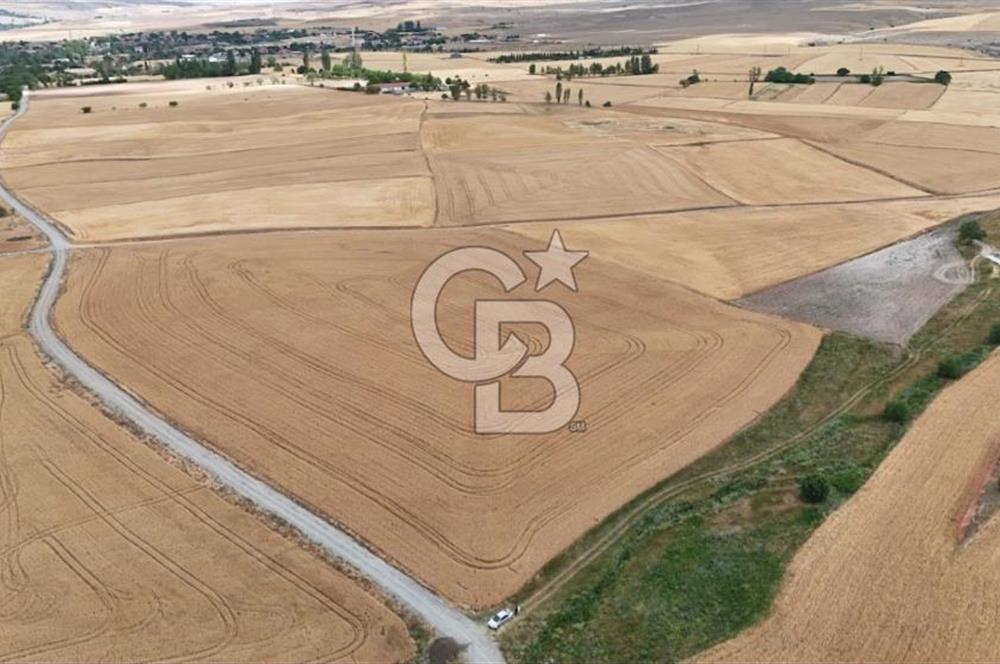 GÖLBAŞI SUBAŞI KÖYÜNDE SATILIK 31 DÖNÜM TEK TAPU TARLA