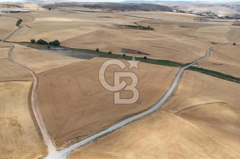 GÖLBAŞI SUBAŞI KÖYÜNDE SATILIK 31 DÖNÜM TEK TAPU TARLA