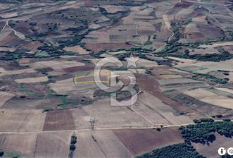 KARAMÜRSEL KIZDERBENT'TE 7705 M2 SATILIK TARLA