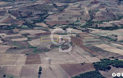 KARAMÜRSEL KIZDERBENT'TE 7705 M2 SATILIK TARLA