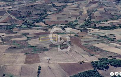 KARAMÜRSEL KIZDERBENT'TE 7705 M2 SATILIK TARLA